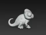 lizard-4