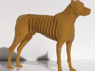 DOG dog