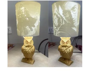 Harry Potter owl lithophane lamp base