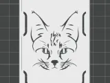 Score Card Case - Cat model 2-1