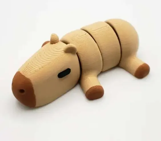 cabibara 
