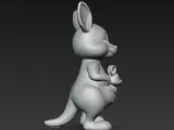 kangaroo-5