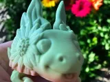 Sunflower Axolotl-5