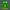 Frog - Toothpaste Squeezer v2