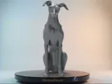 Greyhound-2