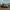 Tiger Tank