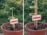 Modular plant support system – seedling holder-1