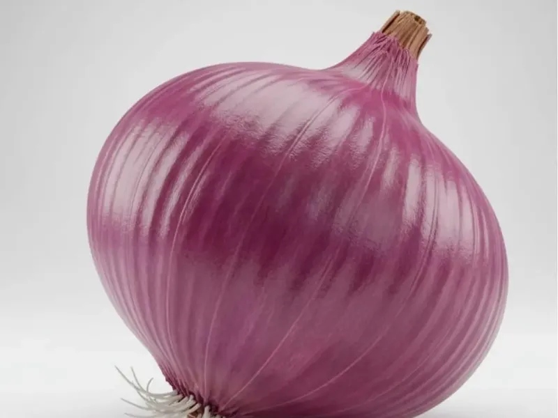 Cebola