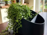 Eclipse Dual Function Planter-1
