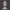 Serene Buddha Head 3D Model – Sculpted Calmness