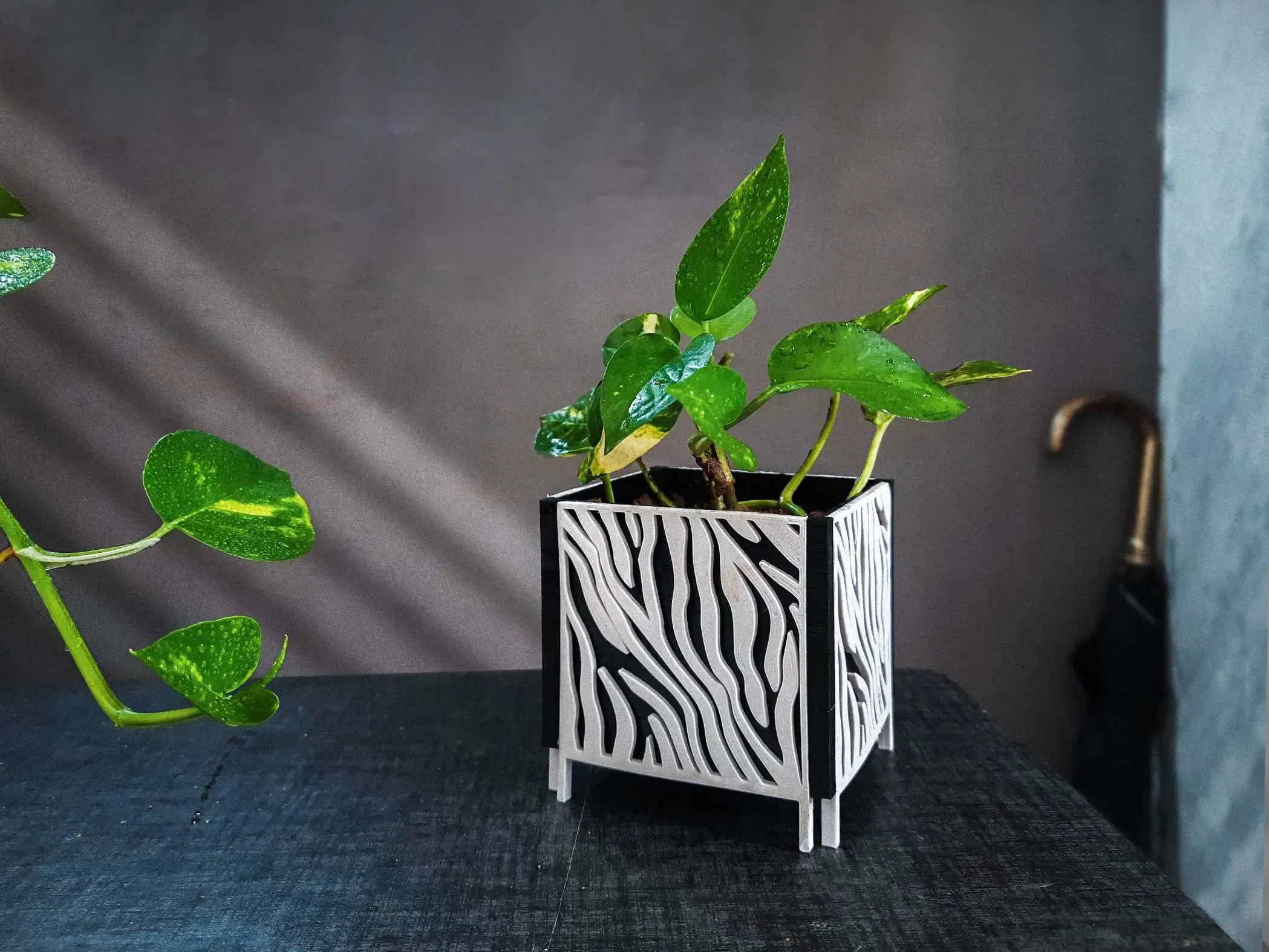 Planter With pattern | Pot 