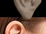 Human Ear -1