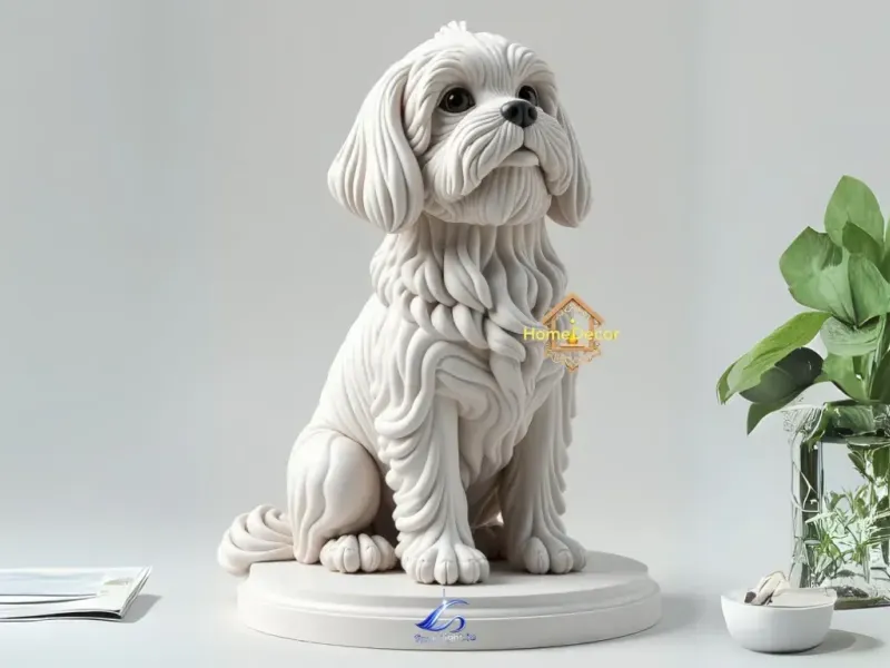Shih Tzu