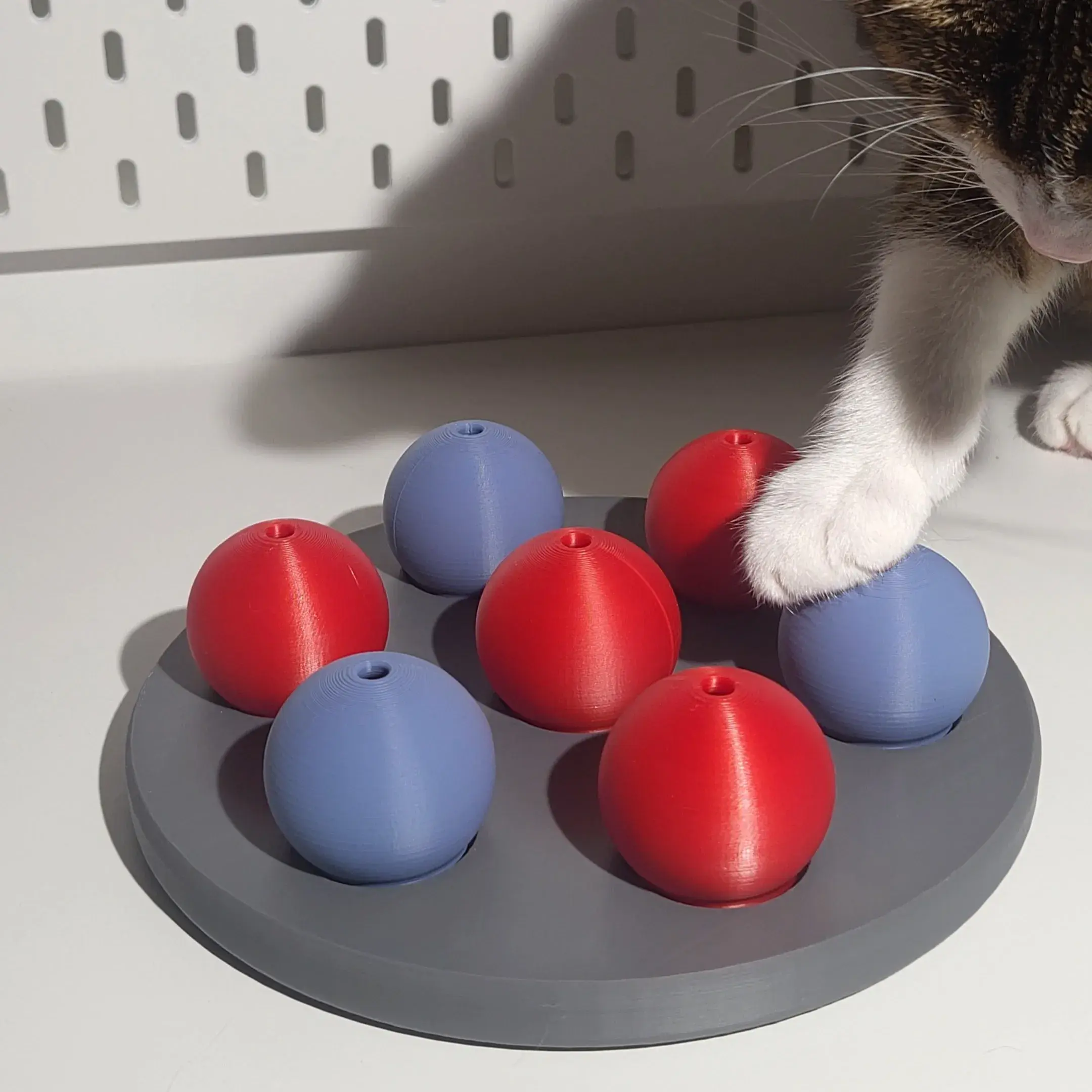 Cat activity game