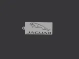 Jaguar Porta Chaves-1