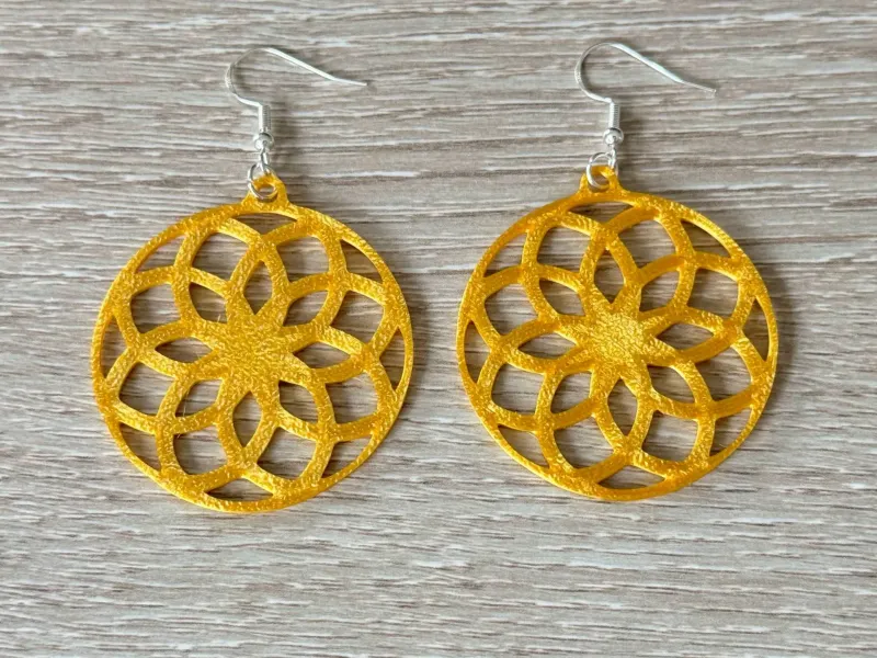 New circular earring