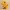 Mini Velociraptor
