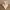 Moulin Age of Empires 2