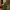 ARbol de navidad, lego, Christmas tree