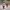TELETUBBIES TINKY WINKY FUNKO POP