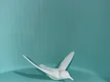 Hummingbird-1