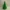 Albero di natale130 mm