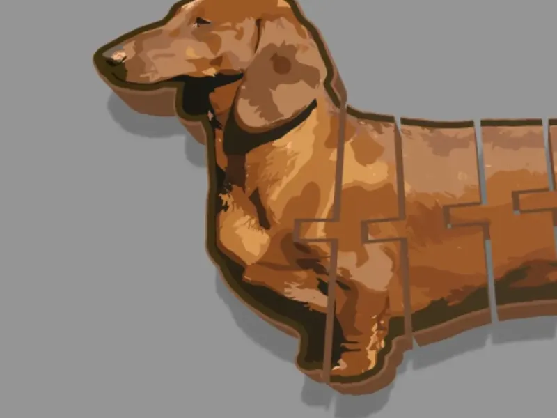 Flexi dachshund