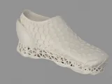 Optimized Shoes-1