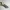 Coltello dell'Impostore Among Us