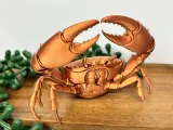 crab-4