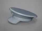 Veteran USAF Pilot Bust-6