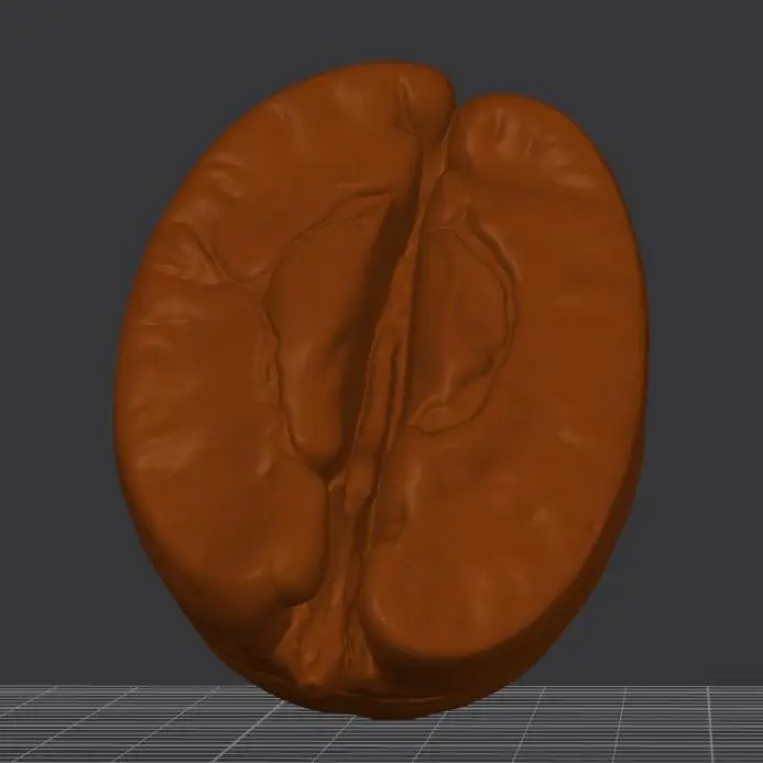 Detailed coffee seed