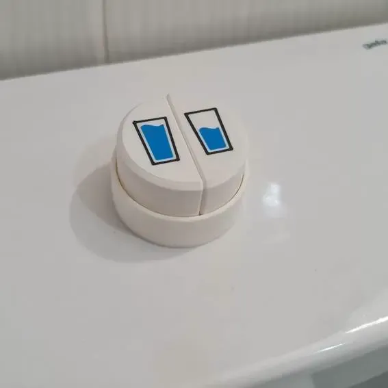 Botões de descarga grandes para vasos sanitários