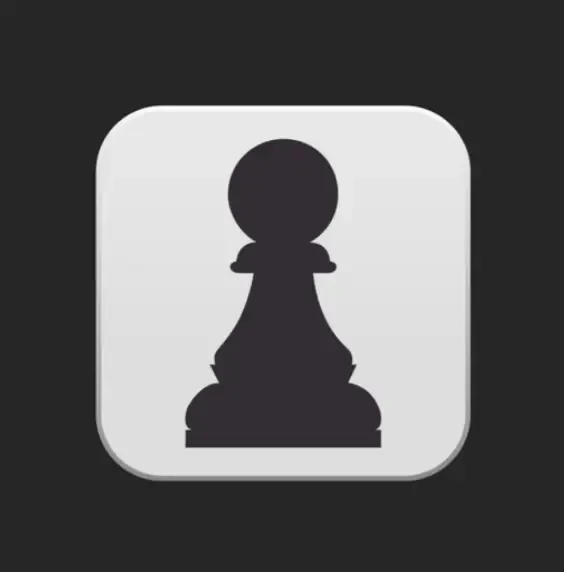 PICTURE PAWN LLC