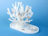 Coral Decor & Jewelry Holder-1