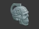 Skull with Exposed Brain 3D Print Model-7