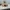 Saboneteira Multicolorida Sem Necessidade de AMS/CFS