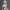 Nova Whisper – Anime Sci-Fi Girl Figurine