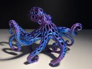 Octopus