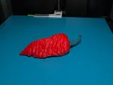 Ghost pepper version 2-0