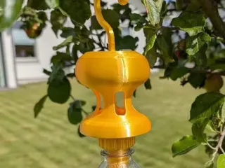 wasp exterminator