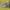 Manija interior Renault Megane 2, Clio 3, Scenic 2 8200028487