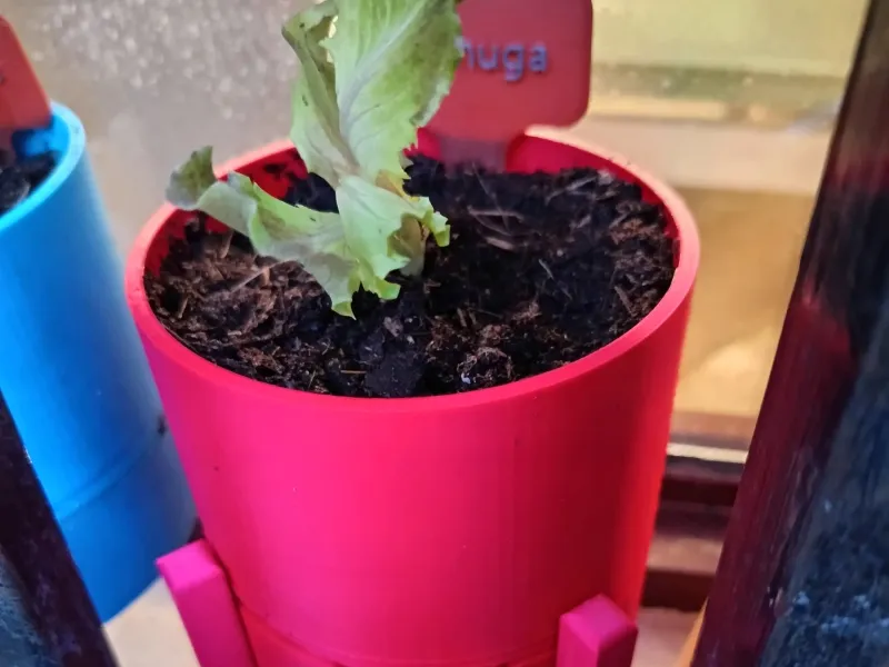 Maceta Autoriego/Minimalist Self-Watering Planter (10cm)