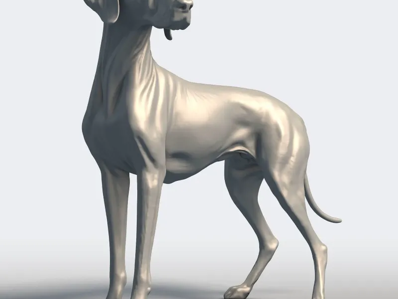 Vizsla Dog Statue - Hungarian Pointer Breed Model