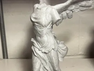 Victoria alada