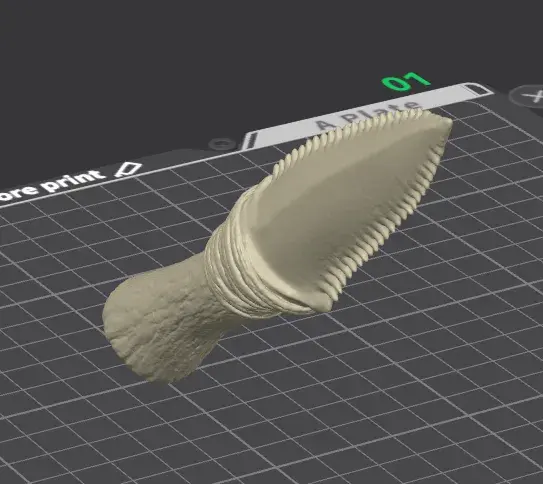 🦈 Primitive Shark-Tooth Dagger – 3D Printable Display Prop