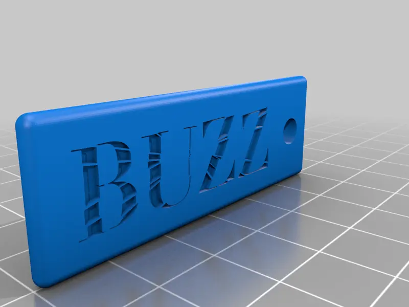 BUZZ logo keychains