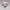 Chibi Cute Shih-Tzu Christmas Edition