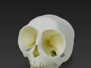 череп анимэшницы