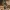 Anubis – El Guardián del Más Allá